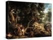 Stretched Canvas Print