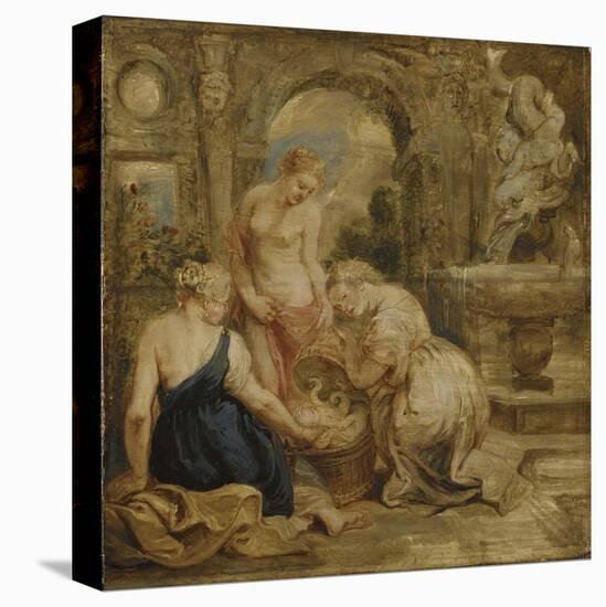 Stretched Canvas Print, , large