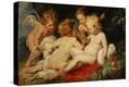Stretched Canvas Print