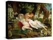 Stretched Canvas Print
