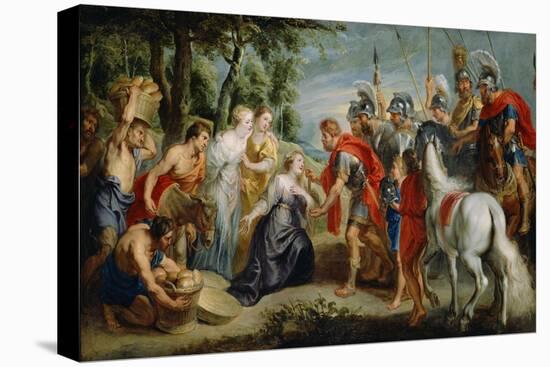 Stretched Canvas Print, , large