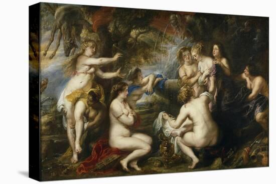Stretched Canvas Print, , large