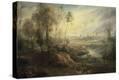 Stretched Canvas Print