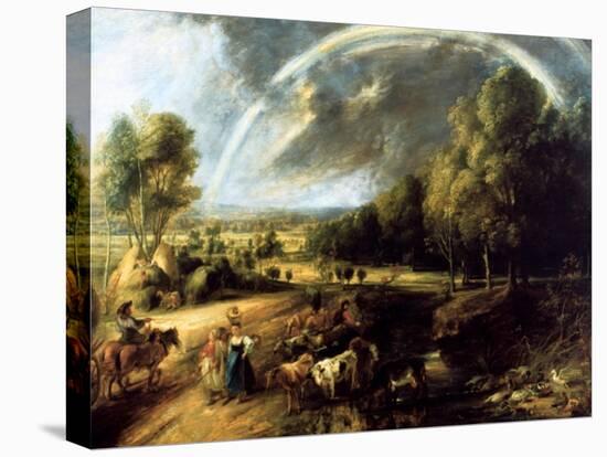 Stretched Canvas Print, , large