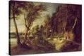 Stretched Canvas Print