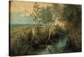 Stretched Canvas Print
