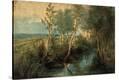 Stretched Canvas Print