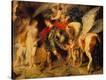 Stretched Canvas Print