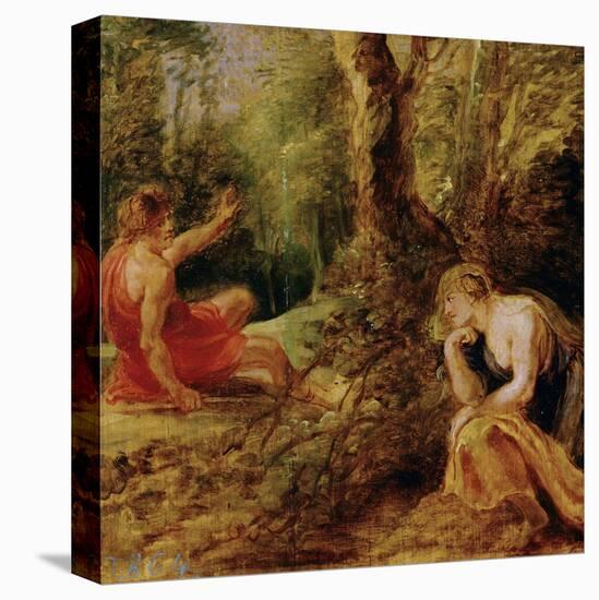 Stretched Canvas Print, , large