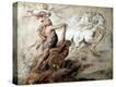Stretched Canvas Print