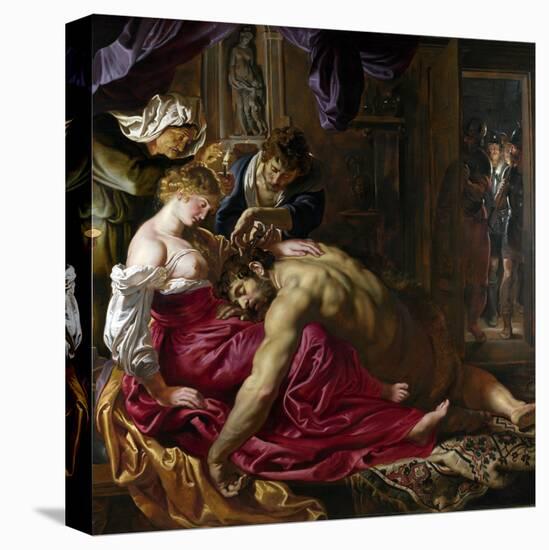 Stretched Canvas Print, , large