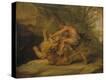 Stretched Canvas Print