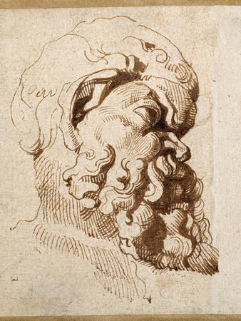 Peter Paul Rubens: The Drawings ルーベンス New Release: The Drawings of Peter Paul Rubens, A Critical