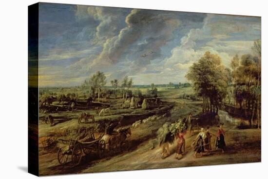Stretched Canvas Print, , large