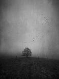Passing the Tree-Peter Polter-Photographic Print