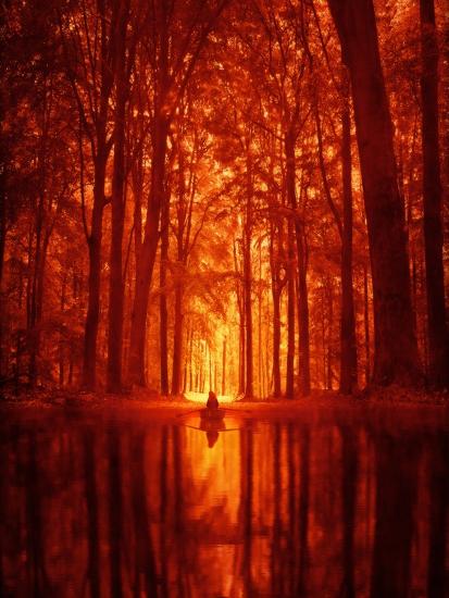 Photographic Print, , large