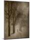 Photographic Print