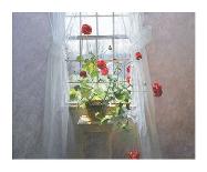 Red Geraniums (small)-Peter   Poskas-Mounted Art Print