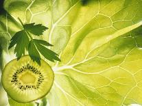 Kiwi Slice and Sprig of Parsley on a Lettuce Leaf-Peter Rees-Photographic Print