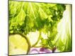 Premium Photographic Print