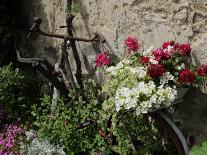 Caberre Boat on the River Dordogne, La Roque-Gageac, Dordogne, France, Europe-Peter Richardson-Photographic Print