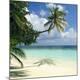 Premium Photographic Print