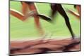 Premium Photographic Print