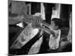 Photographic Print