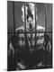 Premium Photographic Print