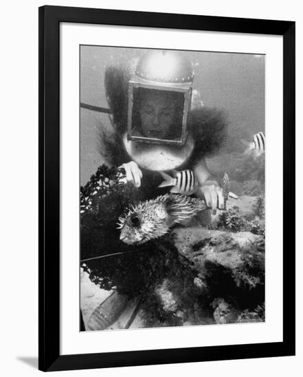 Photographic Print, , large