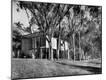 Premium Photographic Print
