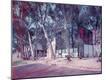 Premium Photographic Print