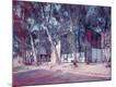 Photographic Print