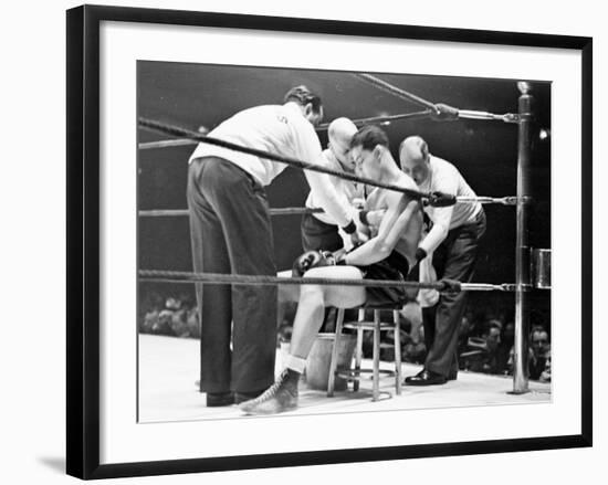 Premium Photographic Print, , large