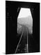 Premium Photographic Print
