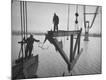 Photographic Print