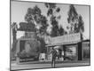 Photographic Print