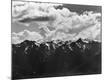 Photographic Print