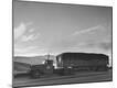 Photographic Print