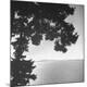 Premium Photographic Print