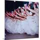 Premium Photographic Print