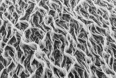 Wide river shapes-Peter Svoboda MQEP-Framed Photographic Print