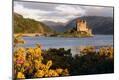 Premium Photographic Print