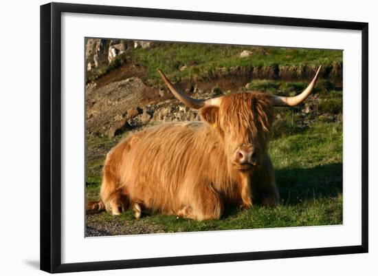 Photographic Print, , large