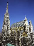 St Stephens Cathedral, (Stephansdom), Vienna, Austria-Peter Thompson-Photographic Print