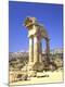 Premium Photographic Print