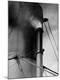 Premium Photographic Print