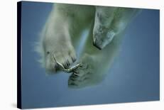 Icebaer-Peter Wagner-Framed Giclee Print
