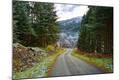 Photographic Print