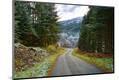 Premium Photographic Print